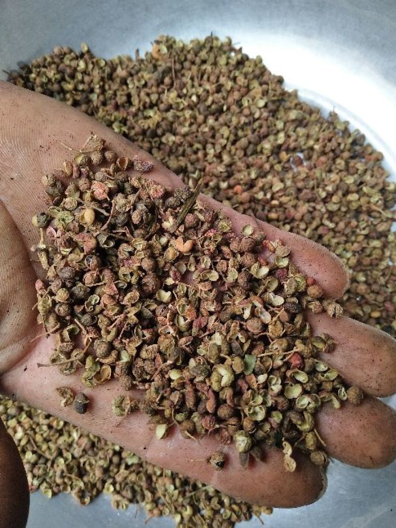 百万商家，实图拍摄山东花椒干早期青新货