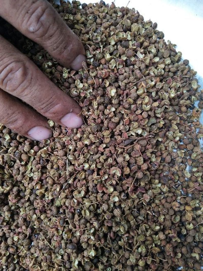 百万商家，实图拍摄山东花椒干早期青新货