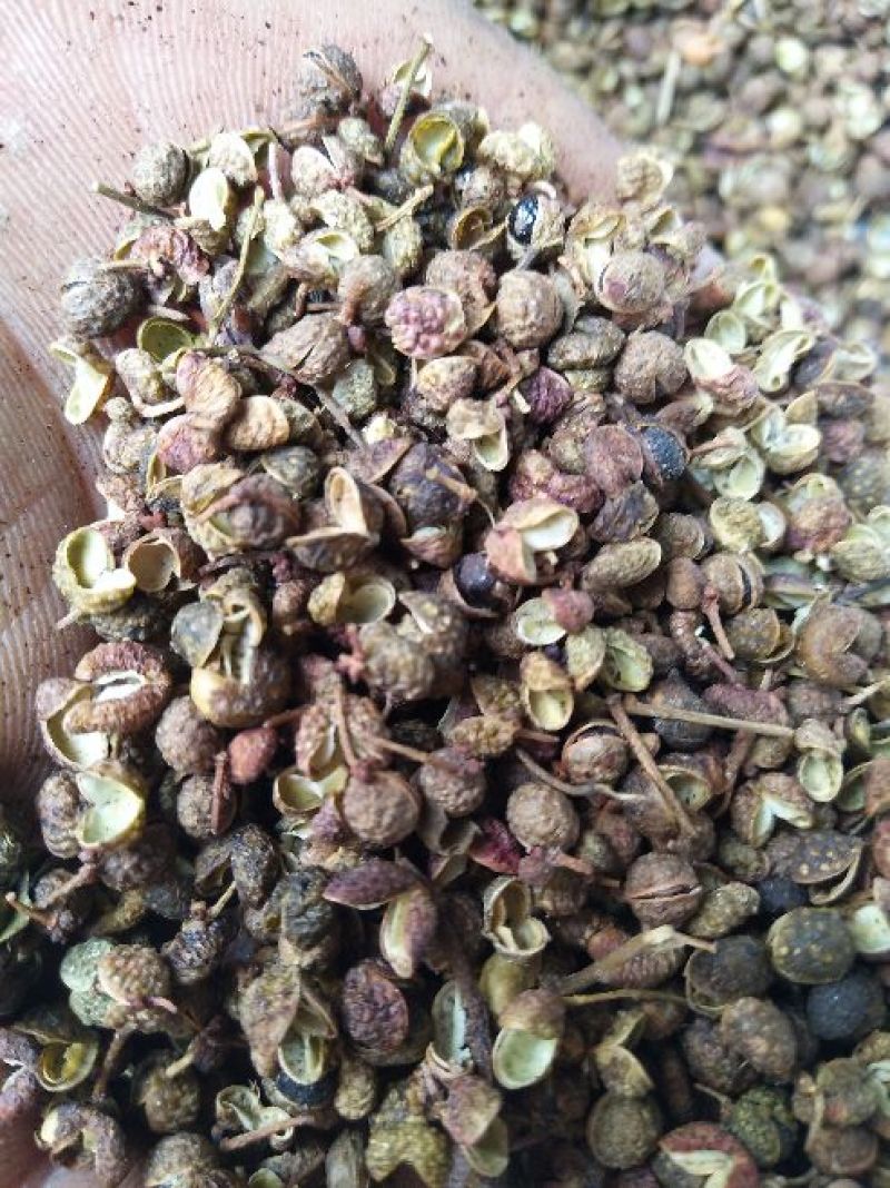 百万商家，实图拍摄山东花椒干早期青新货
