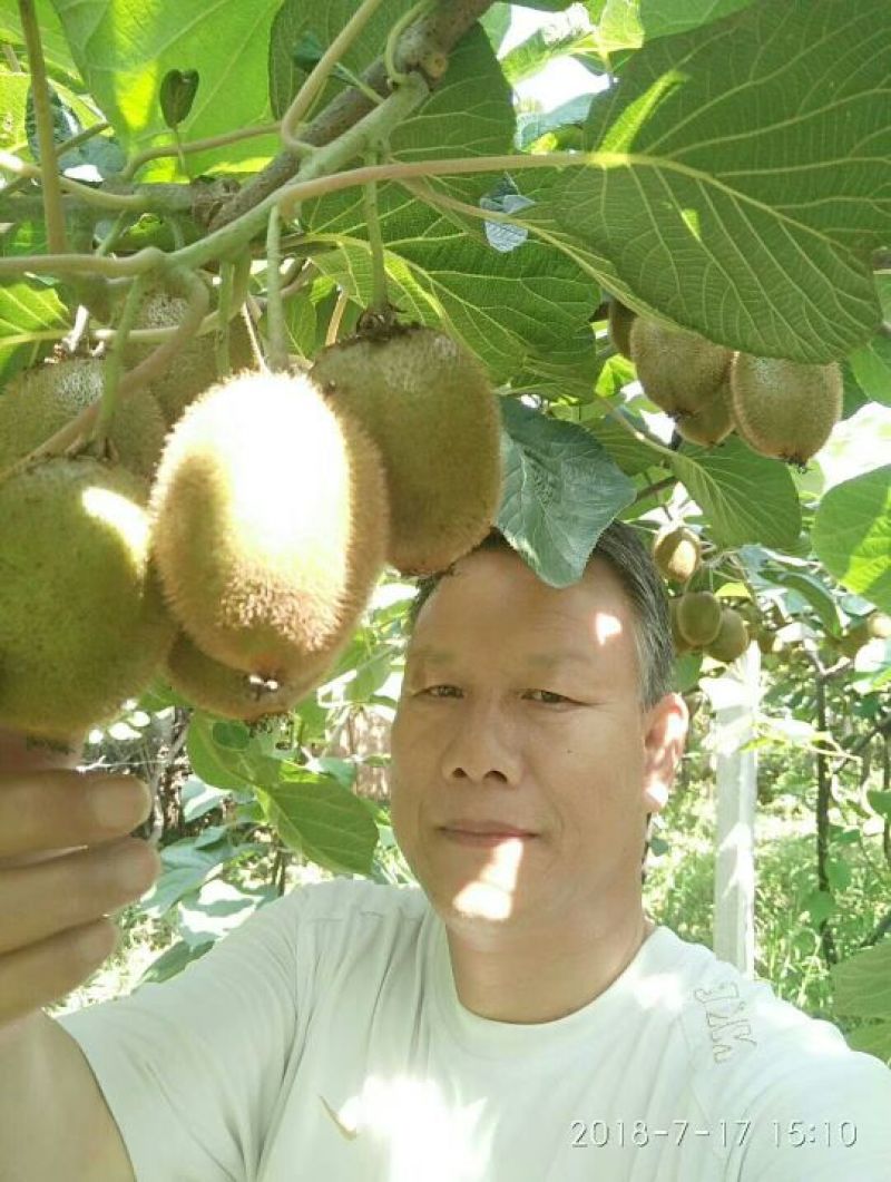 徐香
