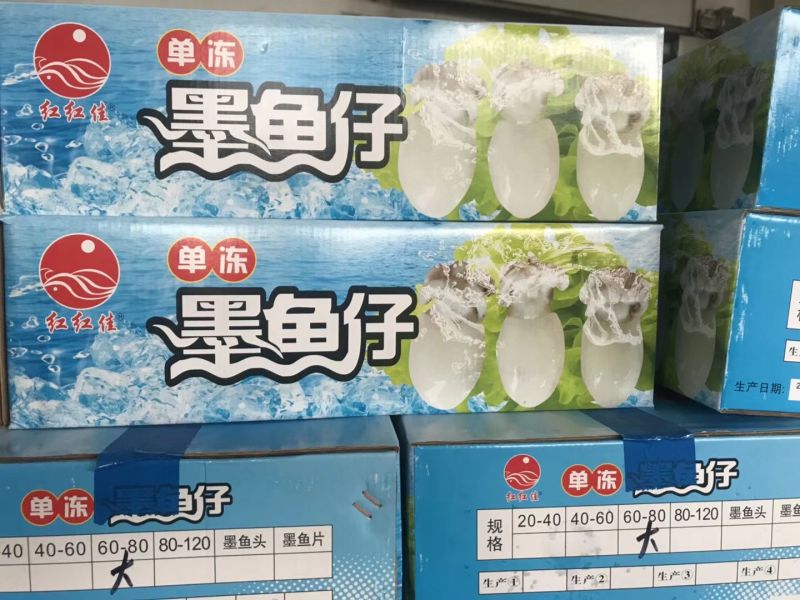 墨鱼仔单冻墨鱼仔大号小号