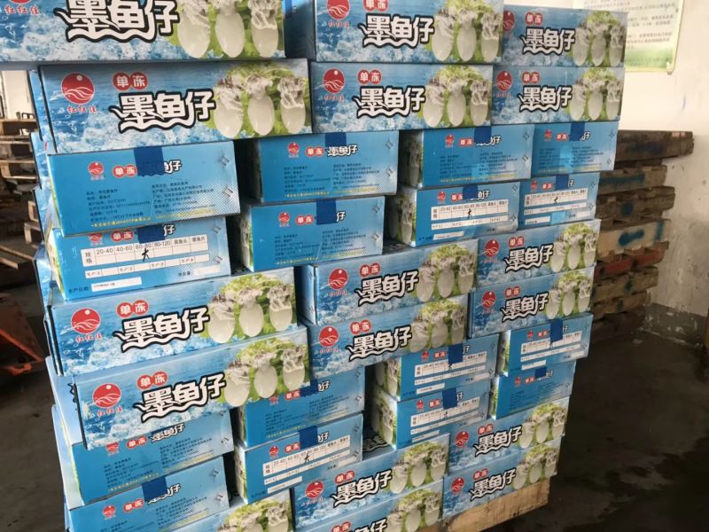 墨鱼仔单冻墨鱼仔大号小号