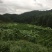百香果