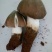 纯天然野生鸡纵菌