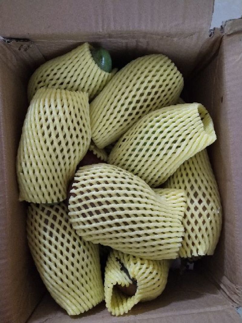 桂七芒果9斤大果包邮29.9