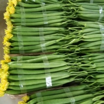 鲜花丝瓜