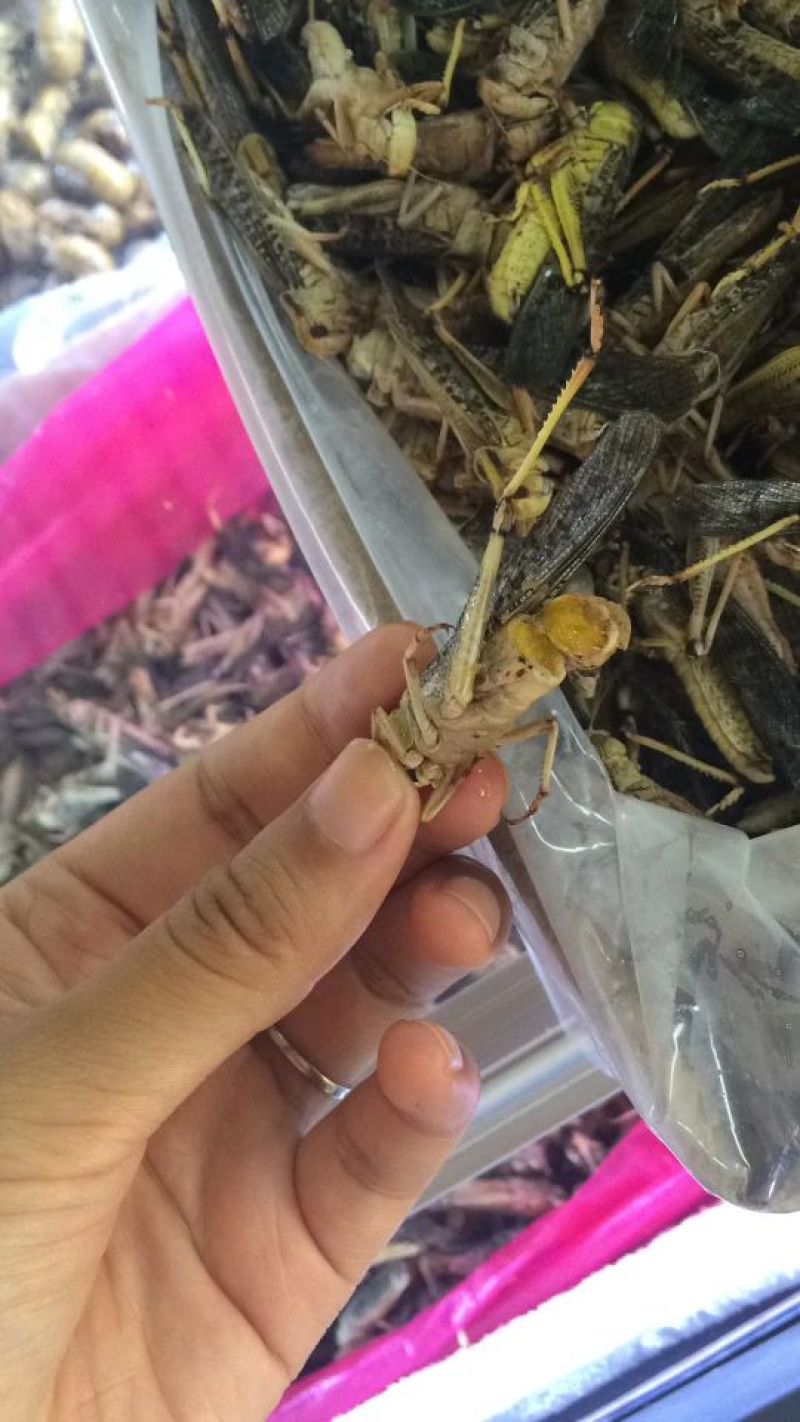 厂家直销