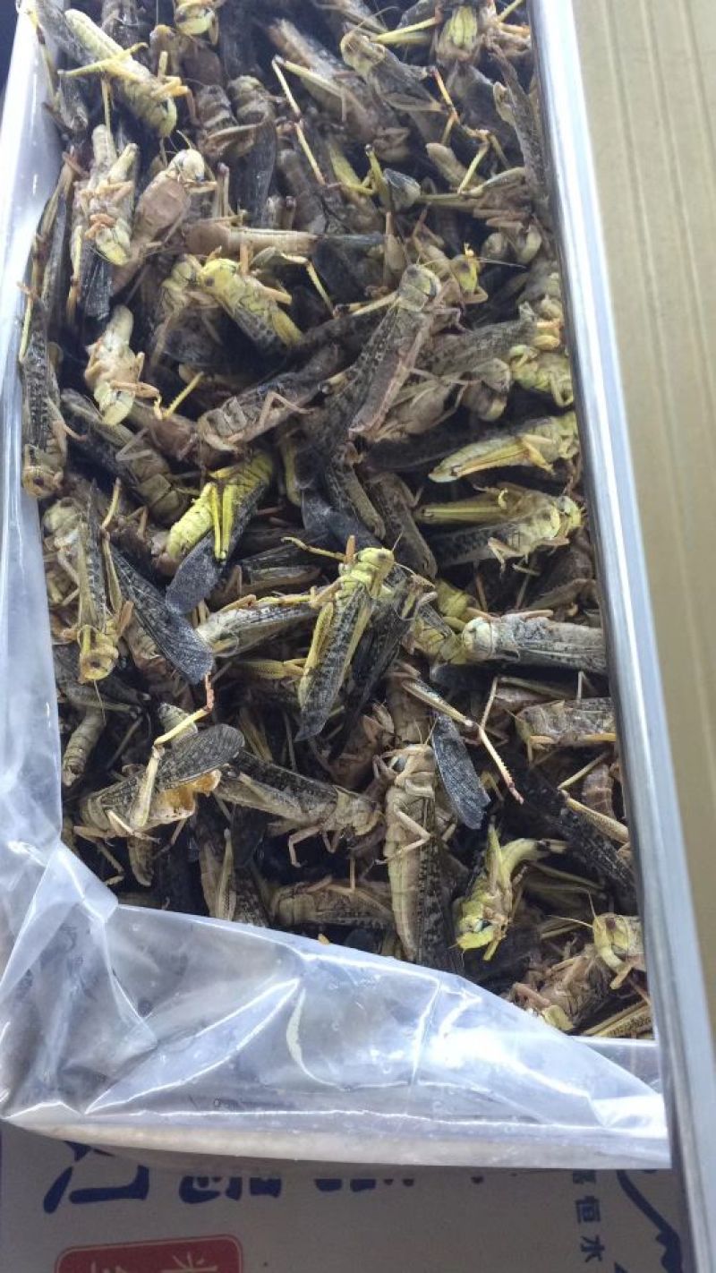 厂家直销