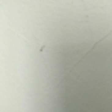 香螺