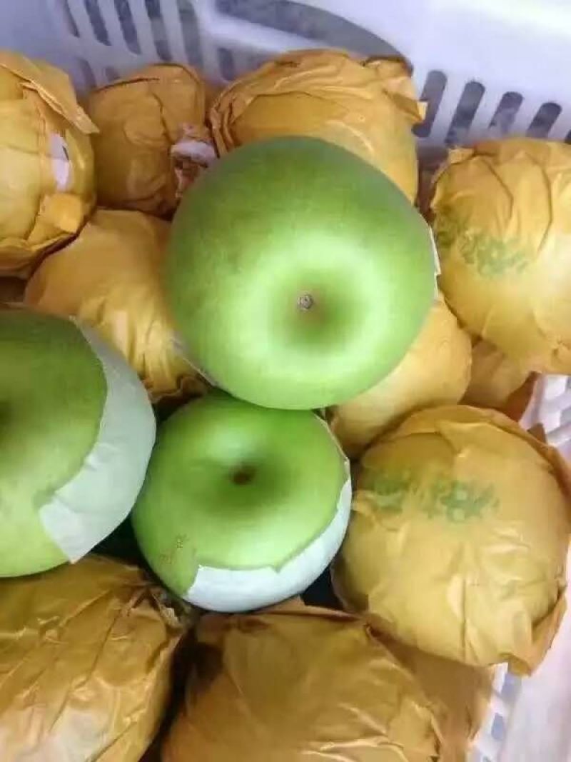 精品圆黄梨，安徽砀山，电商平台，各大商超，全国各大市场，
