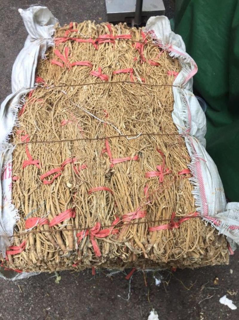 石参根无硫虎尾轮