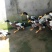 120天绍兴小公鸭均重3斤半