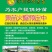 红宝石芭乐苗教你挂果