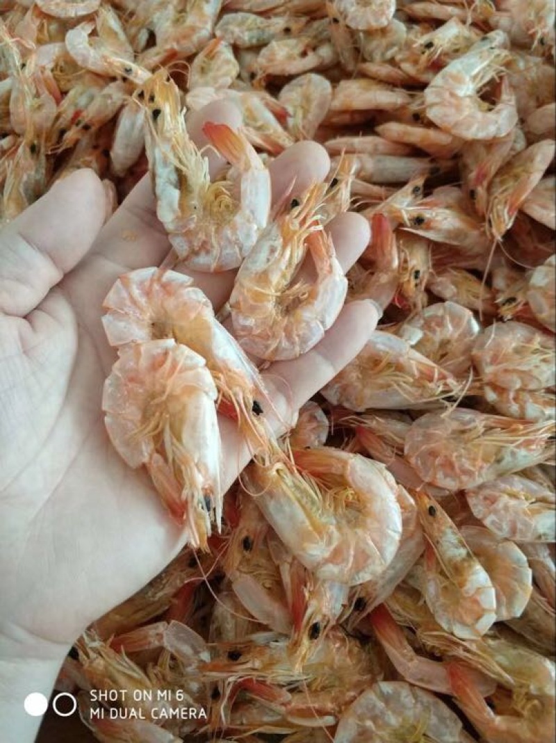 干虾