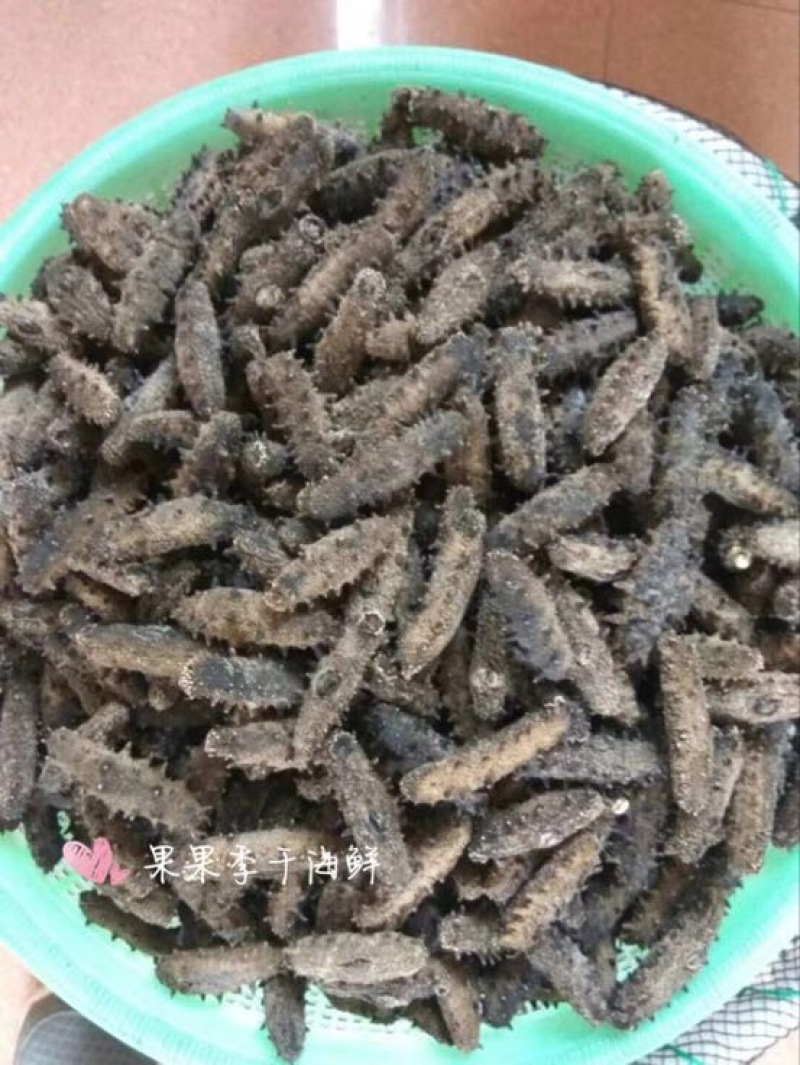 干虾