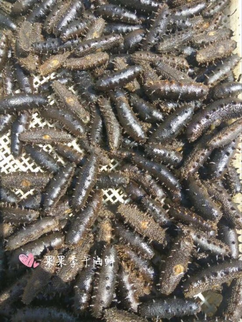干虾