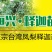 台湾凤梨释迦苗提供种植技术