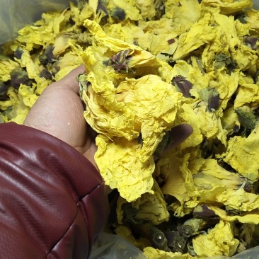 黄蜀葵花自家种植，产地直销一手货源，质量有保证