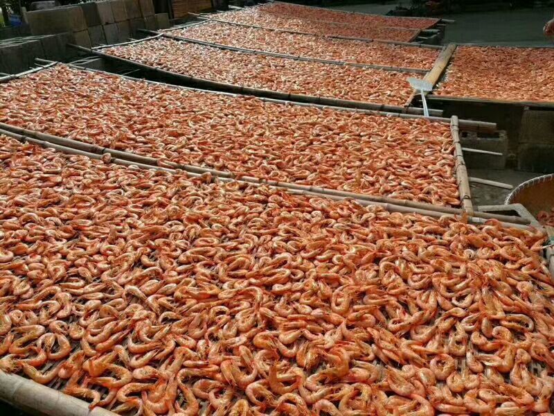 盐水对虾干