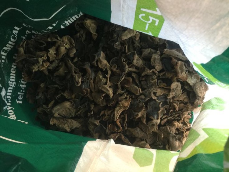 木耳自家仿野生种植，数量不是很多，懂货的可以了解联系