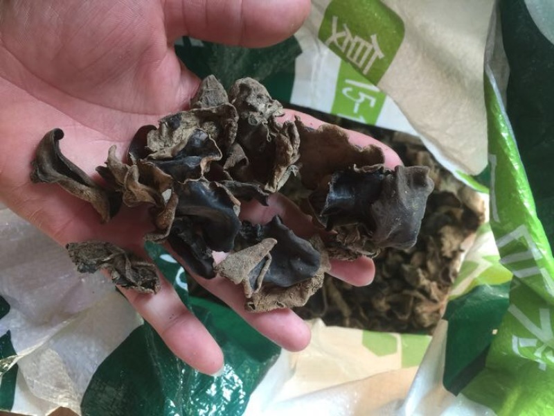 木耳自家仿野生种植，数量不是很多，懂货的可以了解联系