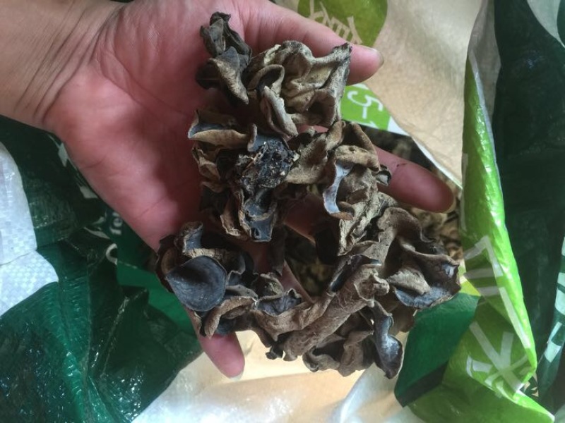 木耳自家仿野生种植，数量不是很多，懂货的可以了解联系