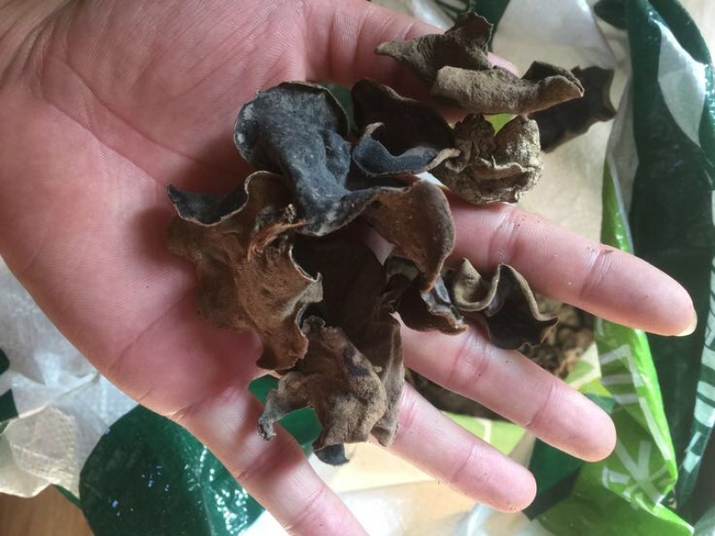 木耳自家仿野生种植，数量不是很多，懂货的可以了解联系