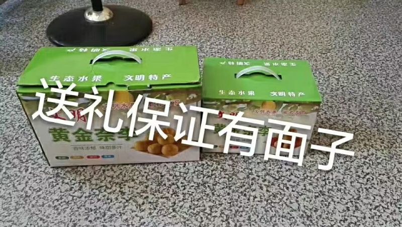 湖南文明半条被子水果之乡黄金奈李一件代发