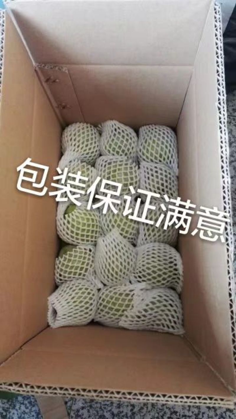 湖南文明半条被子水果之乡黄金奈李一件代发