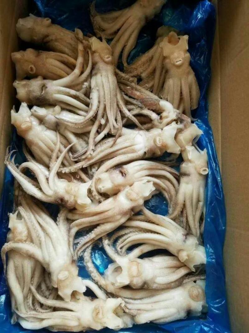 鱿鱼头