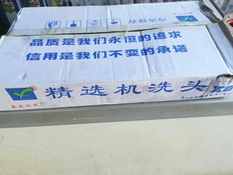 鱿鱼头