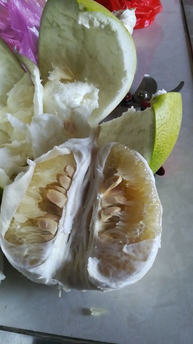 红心柚，蜜柚