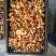 松乳菇，精品精品，好货不等人