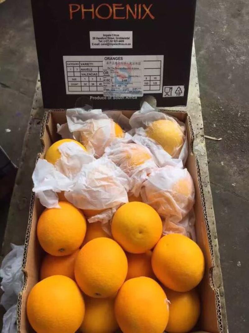 【有好货】进口新鲜南非埃及脐橙甜橙蜜耐酸橙