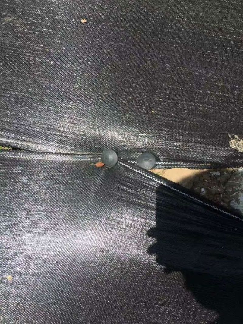 地膜