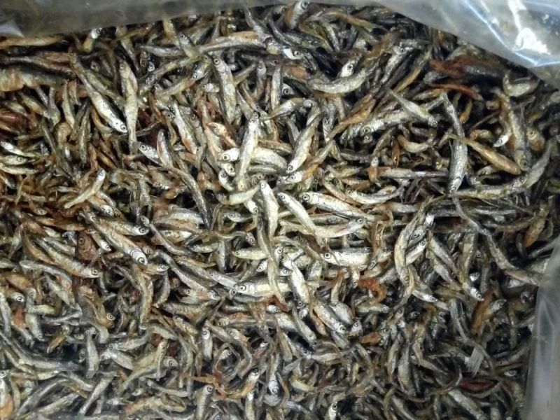 油炸不开肚小白条，3到5公分左右，又香又好吃