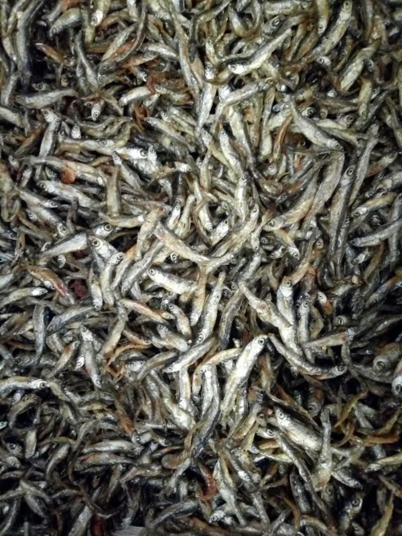 油炸不开肚小白条，3到5公分左右，又香又好吃