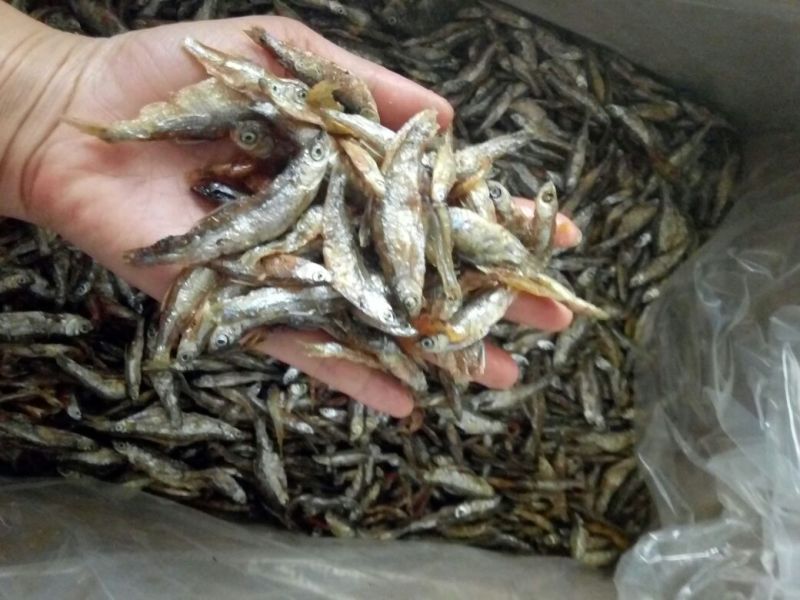 油炸不开肚小白条，3到5公分左右，又香又好吃