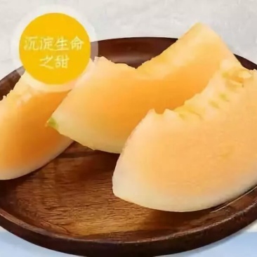 中国蜜瓜之乡——民勤黄河蜜瓜