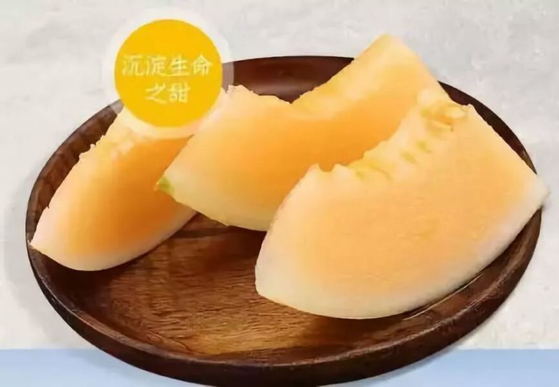 中国蜜瓜之乡——民勤黄河蜜瓜