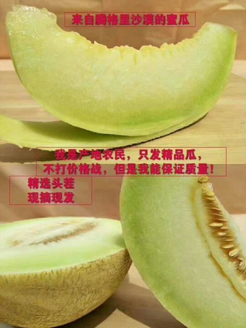 中国蜜瓜之乡——民勤黄河蜜瓜