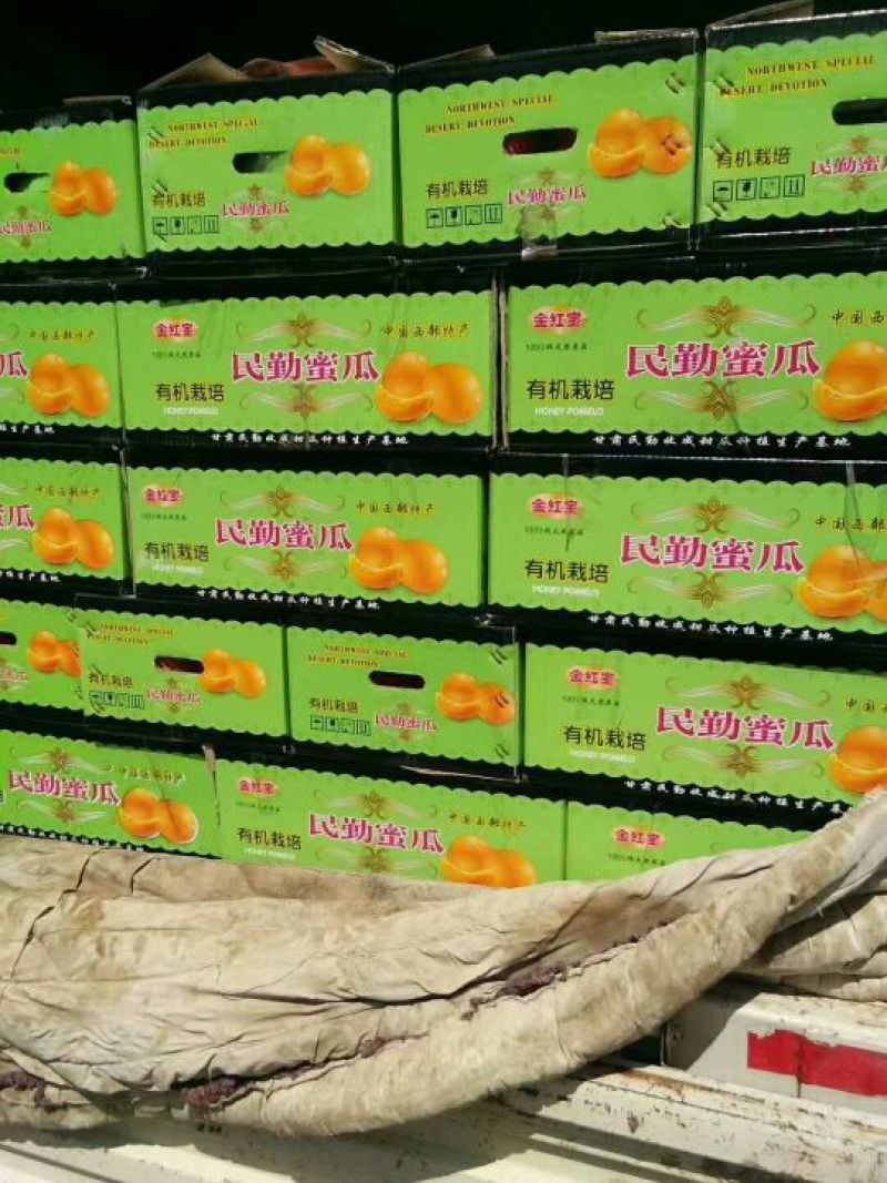 中国蜜瓜之乡——民勤黄河蜜瓜