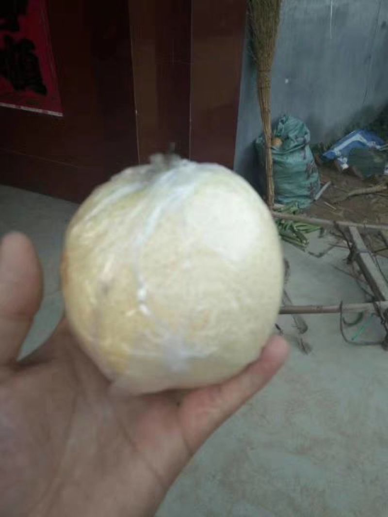 黄金梨纸加膜400~450g