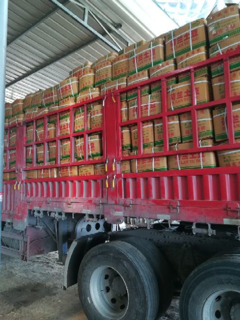 荷兰15土豆大量有货个头足山东精品现挖现发一手货源