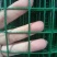 2米高荷兰网养殖网绿色铁丝网护栏网圈地围栏