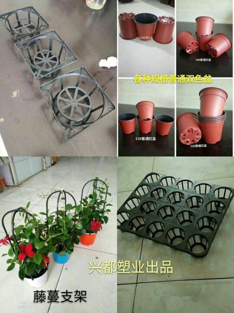 塑料花盆
