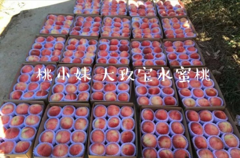 大久保85mm以上