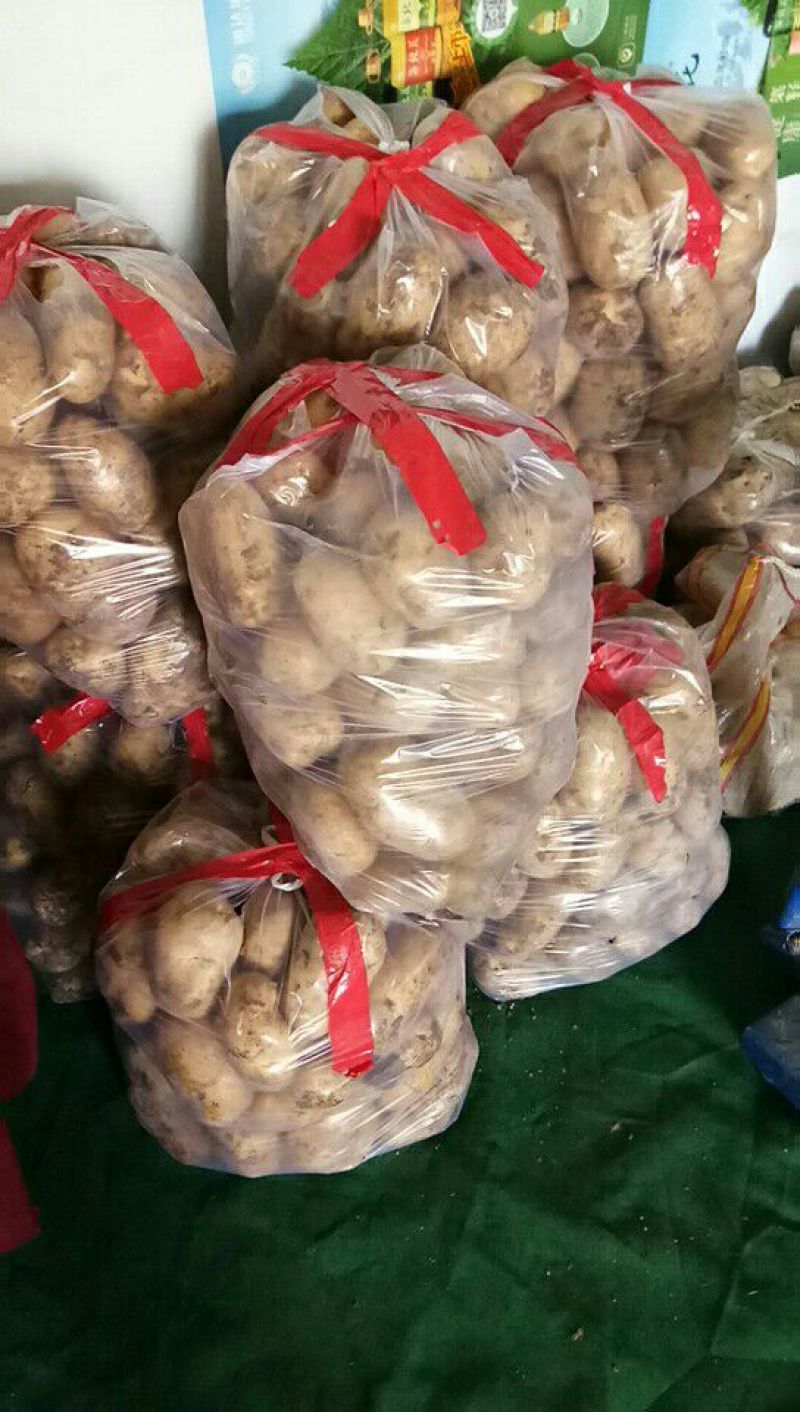 荷兰十五号土豆4两起