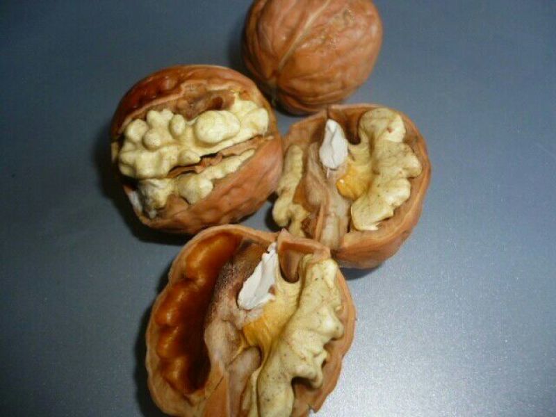 青皮核桃大量供应