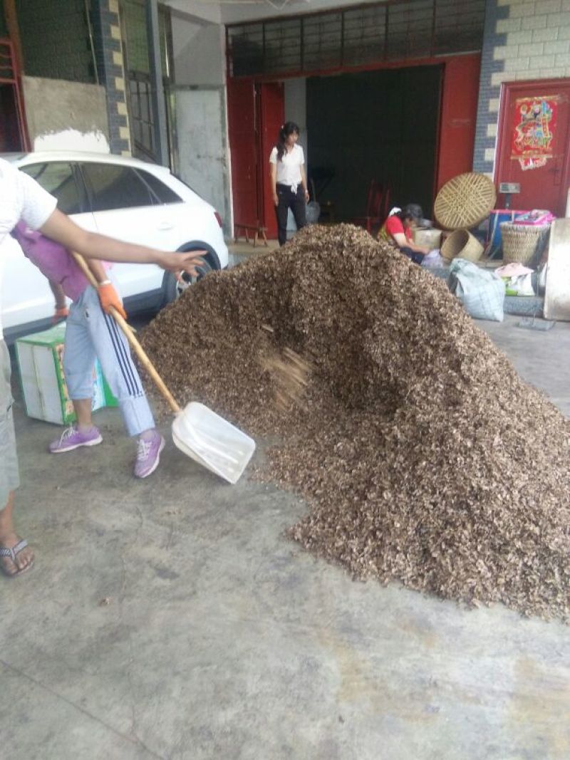 纯手工筛选分心木